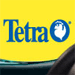 Tetra