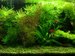 Tanks by size