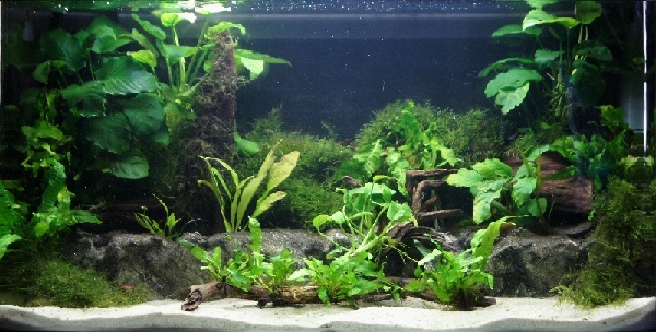 2.5ft 18th Feb 2012.jpg