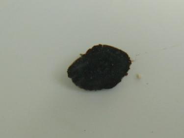 a8f67-mystery things 003.JPG