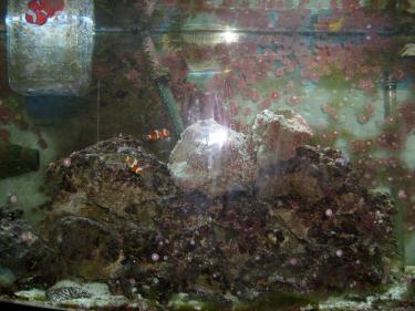 21b2b-fish pics 001.jpg