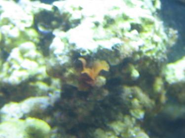 4b121-Unknown 001.JPG