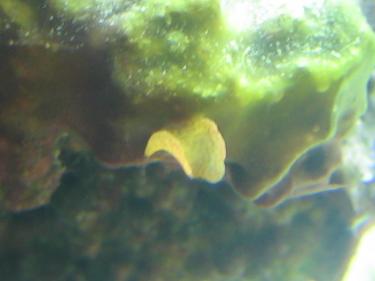 8d0cd-Unknown 003.JPG