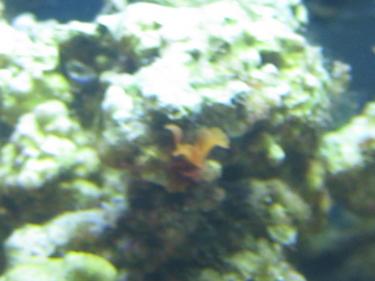 f3908-Unknown 004.JPG