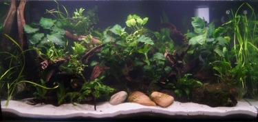 6197f-3ft 9th Jan 2012.jpg