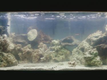 01968-JUST WATER- 12 7 09.JPG