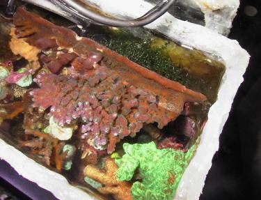 b12b1-tabular full.jpg