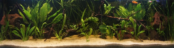 5ft 4th Apr 2012.jpg