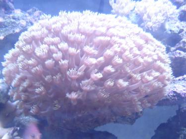 48a20-Picture 207.jpg