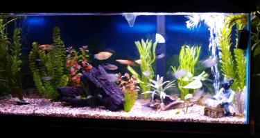 9262f-new hood light.jpg