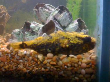 5bde9-Picture 024.jpg