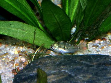 c4786-PICT0022 (3).JPG