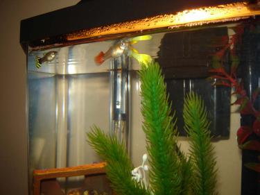 0a1aa-DSC02865 small.jpg