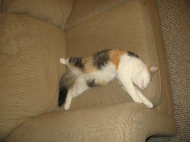 859e1-Picture 030.jpg