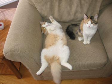 38345-Picture 031.jpg