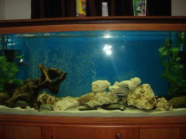 422dd-Fish Tank - New.JPG