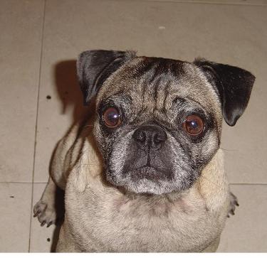 8e37a-first group 013.jpg