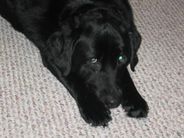 7b9fe-Picture 024.jpg