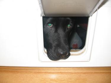 79aec-Picture 042.jpg