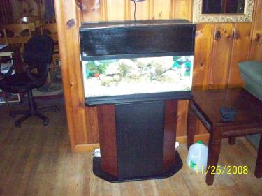 b53a9-fish tank 11.26.08 030.jpg
