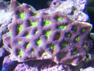 09ffc-Picture 060.jpg