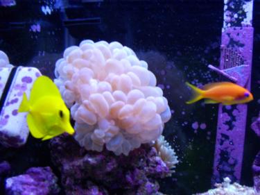 c4eb9-Picture 018.jpg