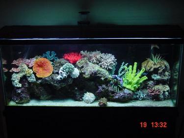 a5862-bikini bottom.jpg