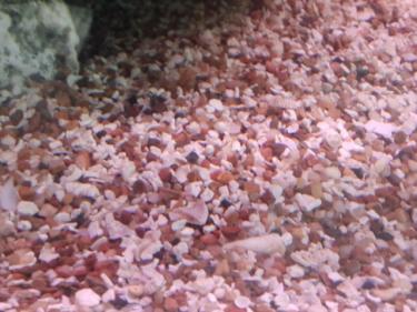 06f8a-2011-11-08 08.35.08.jpg