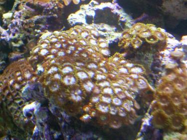 60f7a-Picture 136.jpg