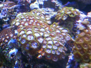 16942-Picture 135.jpg