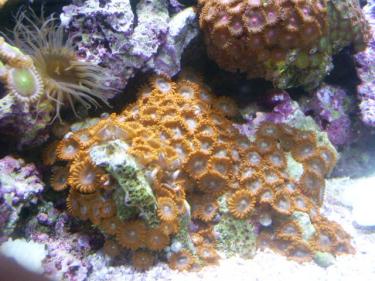 0354d-Picture 129.jpg