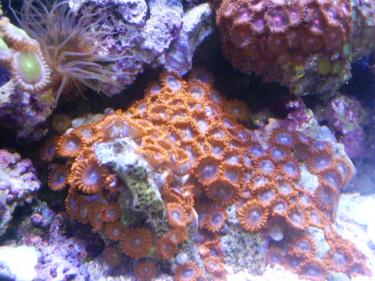 306de-Picture 130.jpg