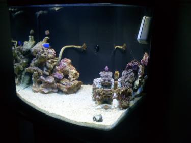 79a42-Picture 124.jpg