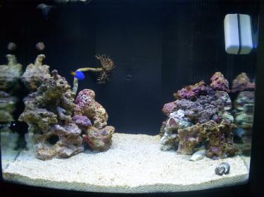 cb7dc-Picture 010.jpg