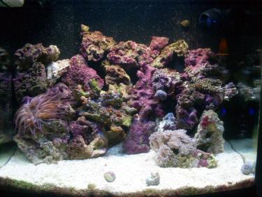 ecdf2-Picture 126.jpg