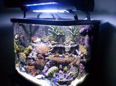 b8a2d-Picture 127.jpg