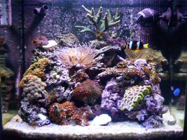 c8757-Picture 125.jpg