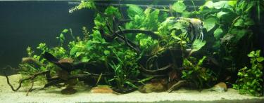 11d01-4ft 17th Oct 2011.jpg