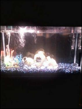 6cff0-Fishtank 2.jpeg