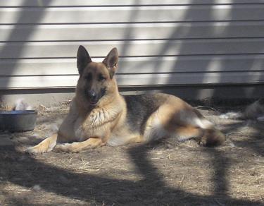 faf07-Spring 2006 April 18 011.jpg