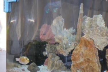 5a347-new left side pump.JPG