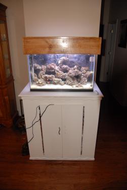 beab9-Fish tank 004.JPG