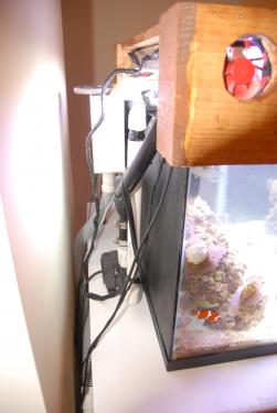 de208-Fish tank 008.JPG