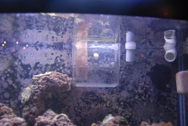 96687-Fish tank 009.JPG