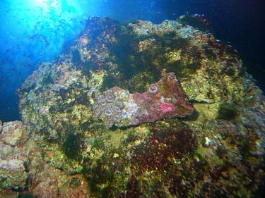 a75a6-mystical palys.jpg