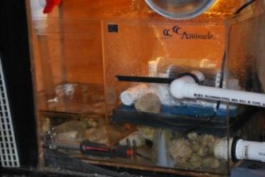 d2e11-11.4 current set up.JPG