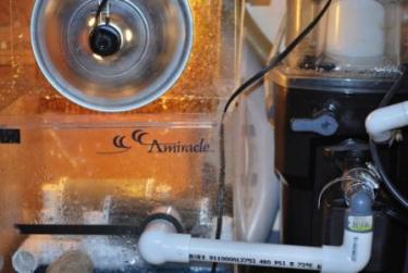 e3dc8-11.4 shot w skimmer.JPG