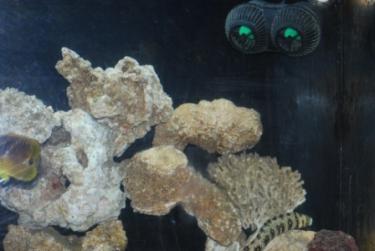 97069-rt side pump.JPG