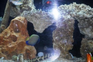 5a241-2nd mid pump.JPG