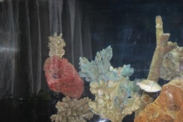 9e379-left side loc.JPG